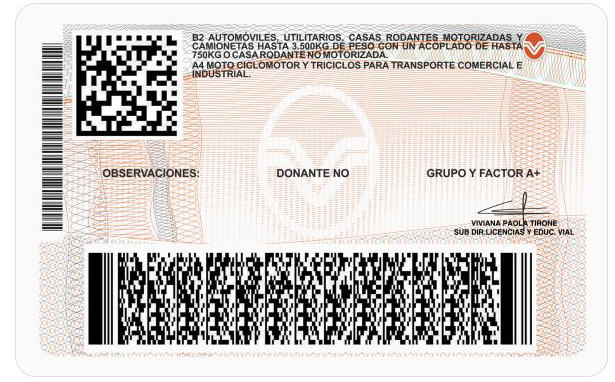 Licencia de Conducir Argentina: Guía Completa para Obtenerla, Renovar y Entender