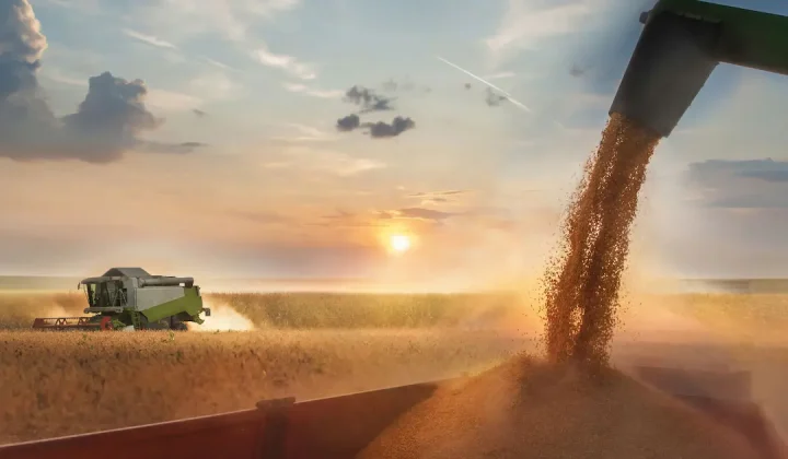 El campo argentino proyecta un aluvión de dólares para el cierre del semestre
