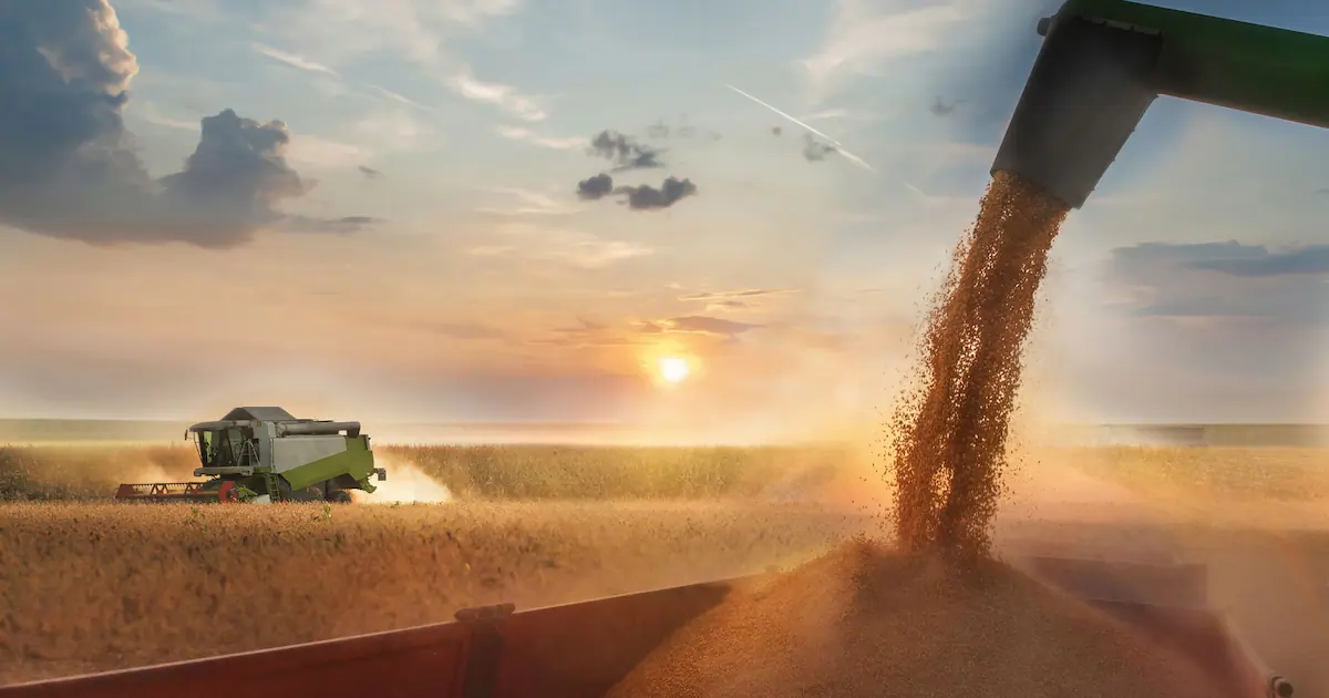 El campo argentino proyecta un aluvión de dólares para el cierre del semestre