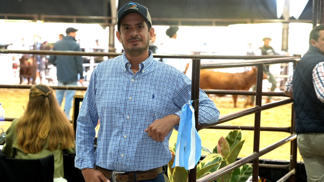 Productor nicaragüense destaca el Brangus argentino: “Es el mejor del mundo