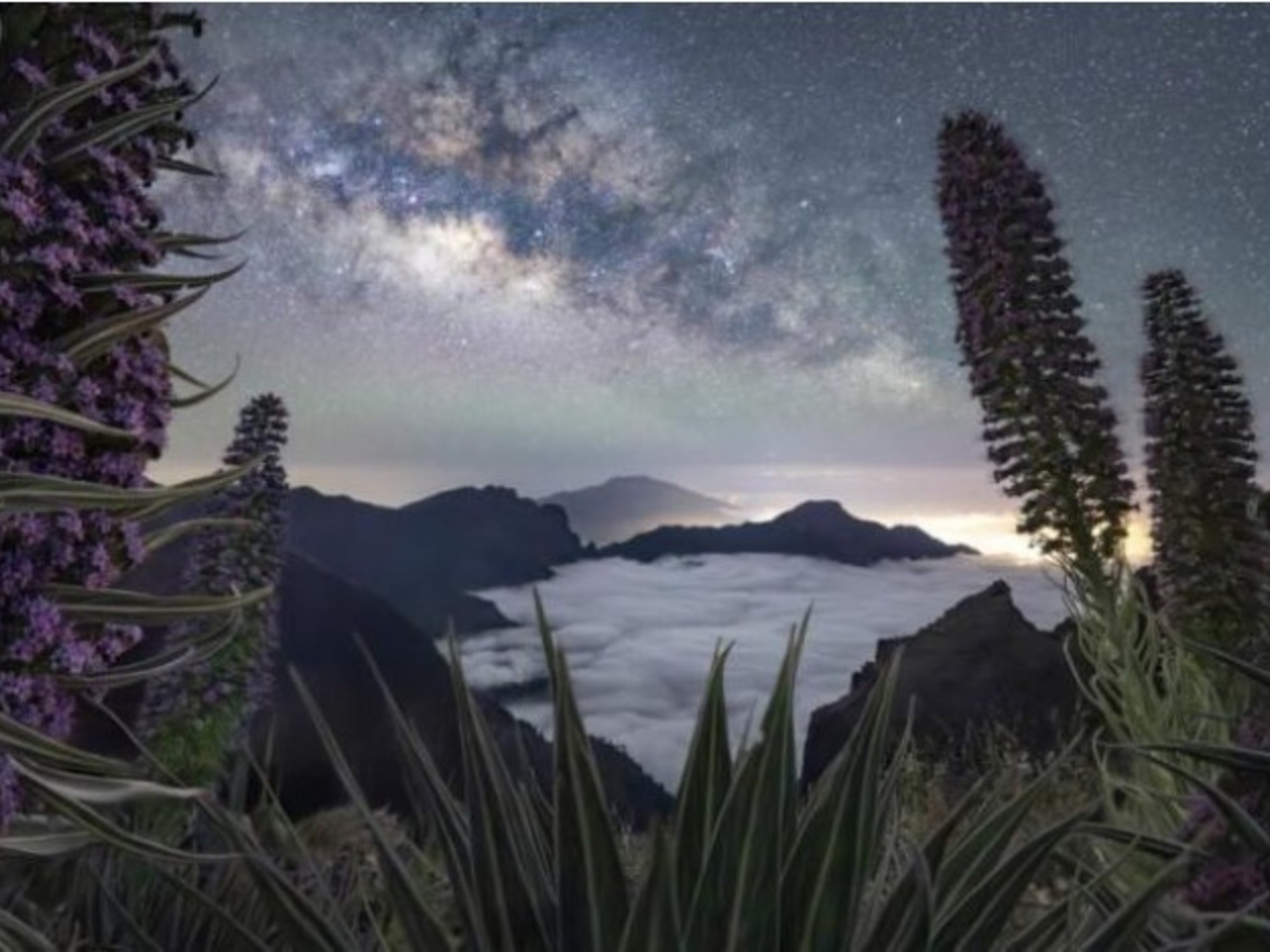 Fotografía de la Vía Láctea sobre un paisaje en Argentina