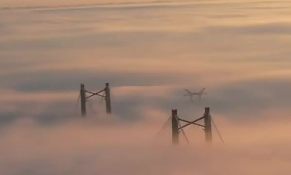 Alerta Violeta por Niebla: Impacto en Buenos Aires y Seis Provincias, Alertas por Nevadas y Vientos