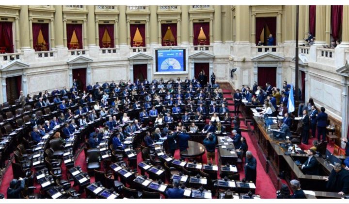 Diputados avanza con la “Ley Hojarasca”: busca eliminar normas obsoletas y curiosas