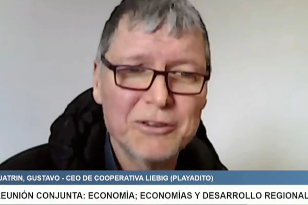 Panelistas discutiendo la industria yerbatera durante un debate en la Comisión de Economías Regionales de la Cámara de Diputados en Argentina.