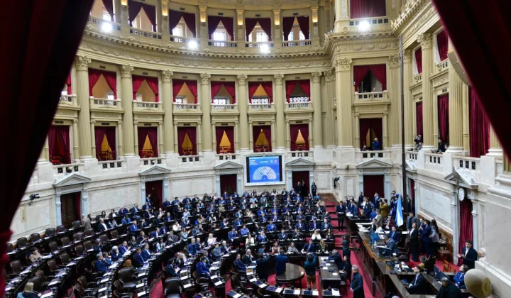 La Libertad Avanza consolida alianzas legislativas y logra media sanción para la “Ley Hojarasca” y ajustes en subsidios de zonas frías
