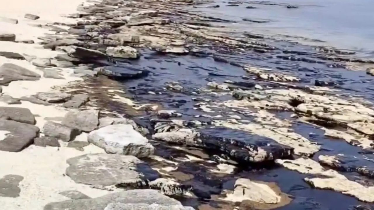 Un derrame de petróleo amenaza una isla virgen en el Golfo Pérsico, Irán, con graves consecuencias ambientales