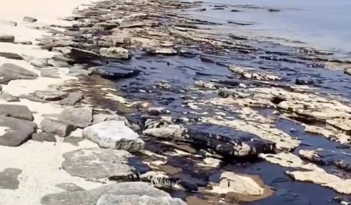 Un derrame de petróleo amenaza una isla virgen en el Golfo Pérsico, Irán, con graves consecuencias ambientales