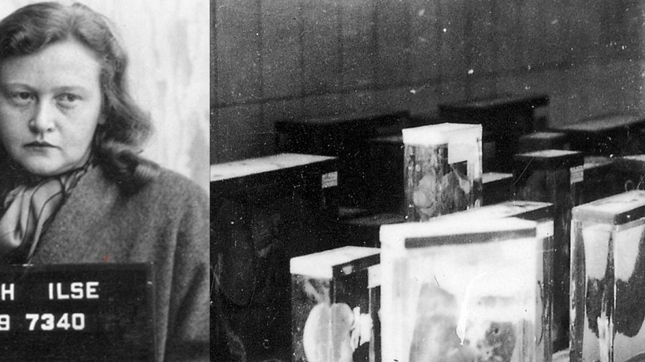 Ilse Koch, la “Bruja de Buchenwald”: Sadismo, Fetiches Mortales y el Horror de los Tatuajes