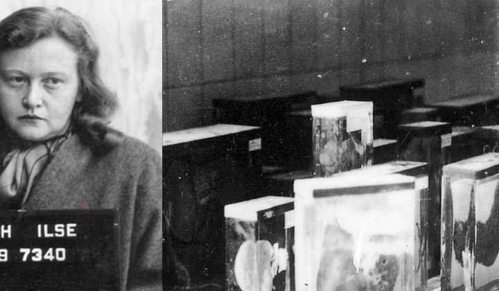 Ilse Koch, la “Bruja de Buchenwald”: Sadismo, Fetiches Mortales y el Horror de los Tatuajes