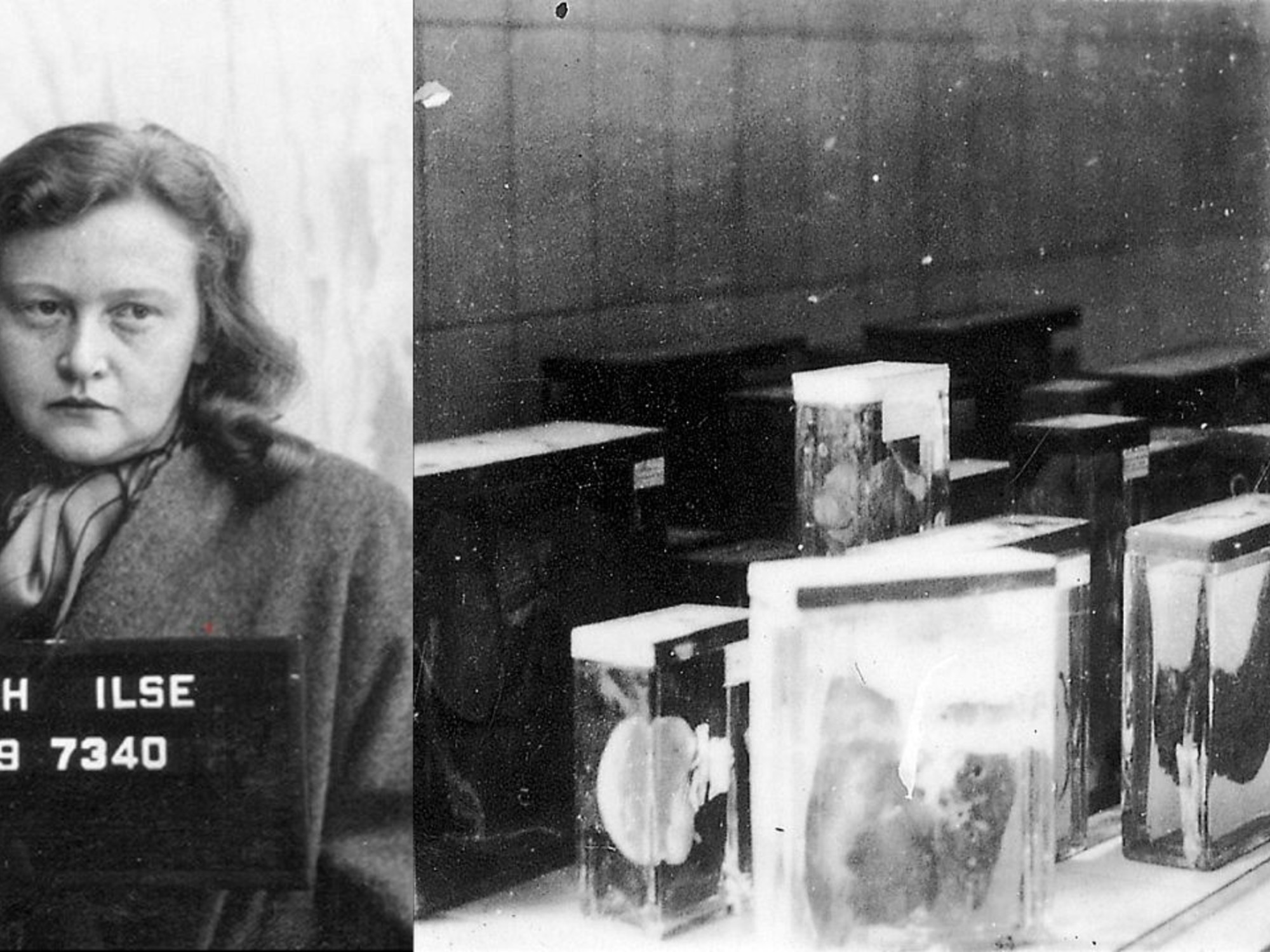 Fotografía de Ilse Koch en el juicio de Buchenwald en 1947, vistiendo traje y con expresión seria.