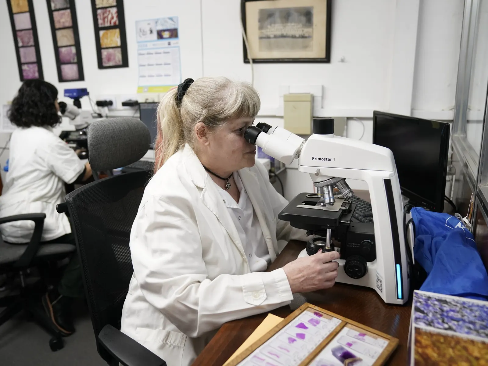 Peritos del Cuerpo Médico Forense analizan muestras en un laboratorio con microscopios.