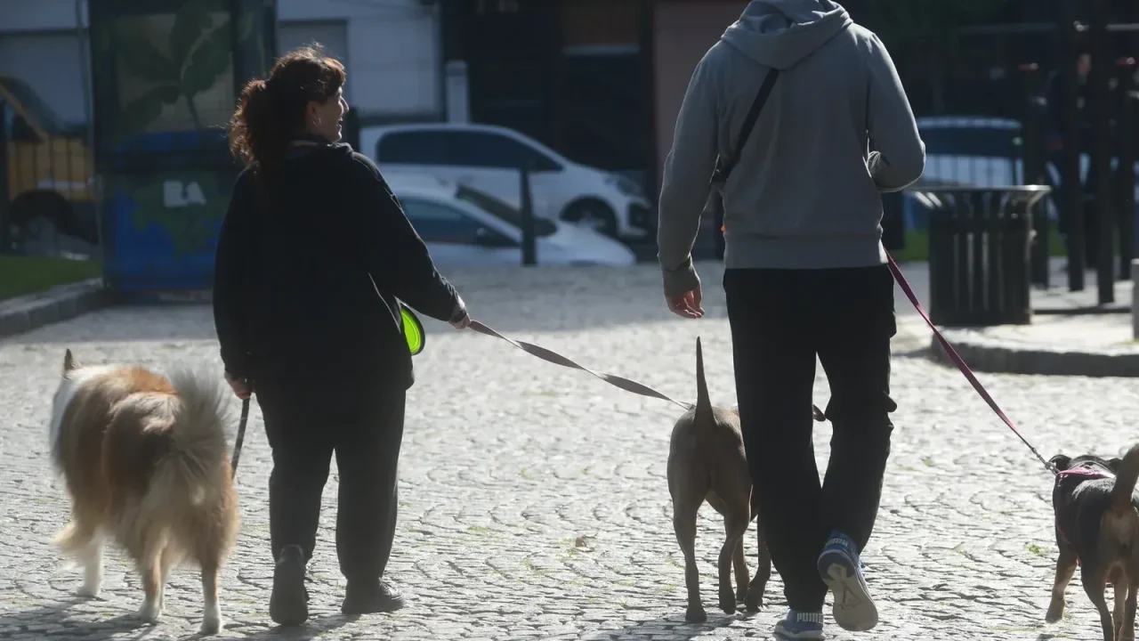 En las plazas y parques de Argentina, una tendencia social gana terreno: usar el paseo de mascotas como una excusa genuina para conocer gent
