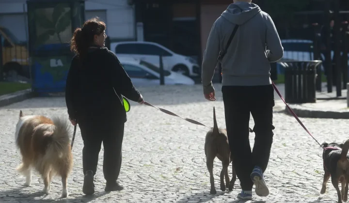 En las plazas y parques de Argentina, una tendencia social gana terreno: usar el paseo de mascotas como una excusa genuina para conocer gent
