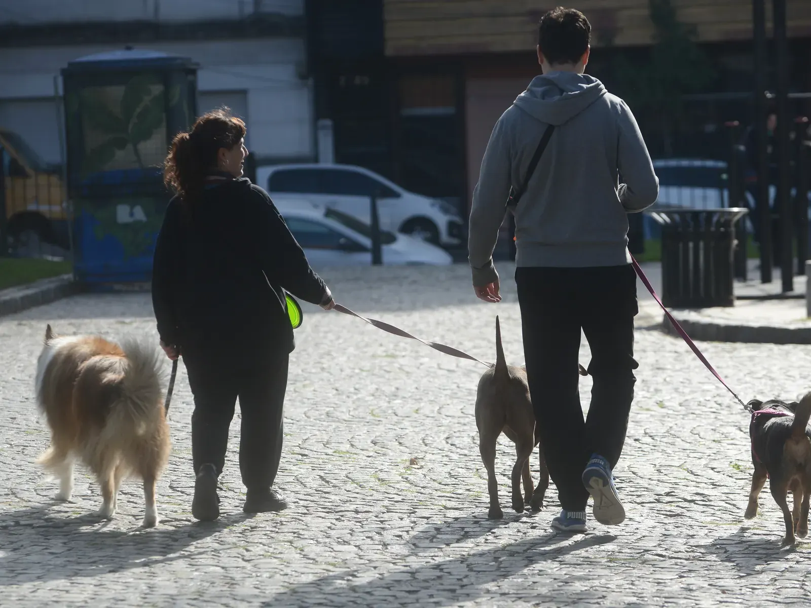 Grupo de personas socializando mientras pasean a sus perros en un parque de Buenos Aires.