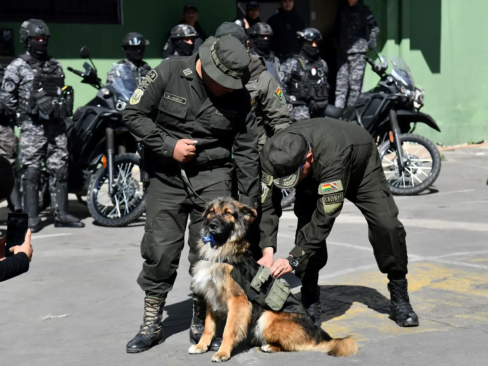 Un perro de raza mestiza, con pelaje café y negro, recibe una condecoración y un chaleco policial.