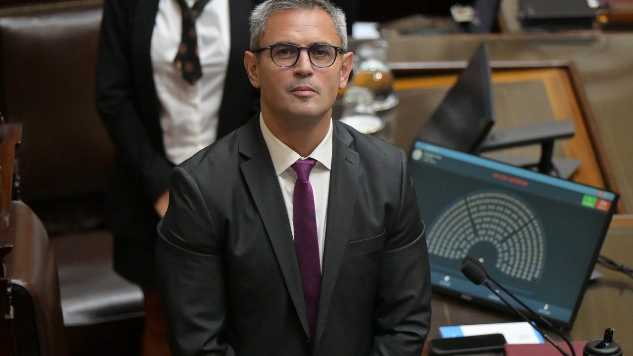 Javier Milei: Debate en Diputados por el Súper RIGI y la Ley de Lobby avanza