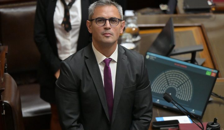 Javier Milei: Debate en Diputados por el Súper RIGI y la Ley de Lobby avanza