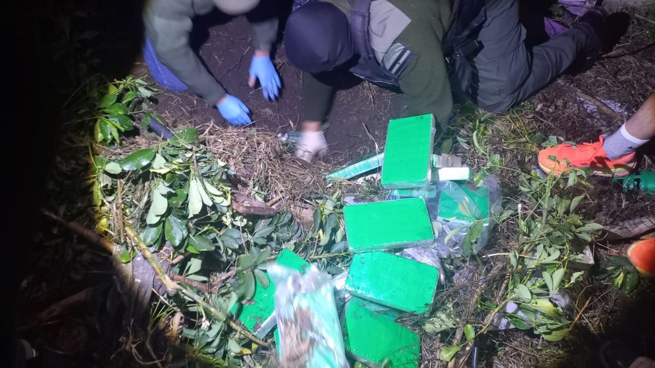 Gretel, la perra que olfateó 58 kilos de cocaína enterrada en Santa Fe