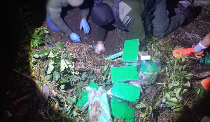 Gretel, la perra que olfateó 58 kilos de cocaína enterrada en Santa Fe