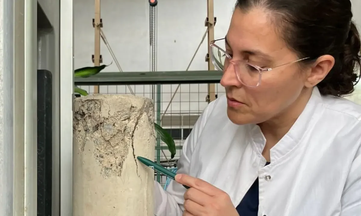 Científicas Argentinas Desarrollan Tecnología para Reparar Hormigón con Bacterias