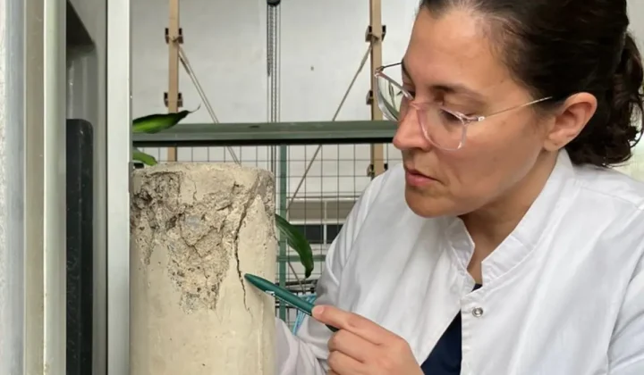 Científicas Argentinas Desarrollan Tecnología para Reparar Hormigón con Bacterias