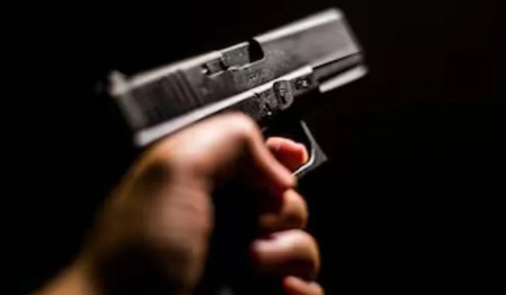Promulgan Ley para Regularización y Entrega Voluntaria de Armas de Fuego
