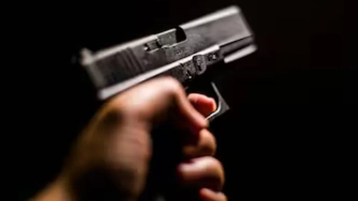 Promulgan Ley para Regularización y Entrega Voluntaria de Armas de Fuego