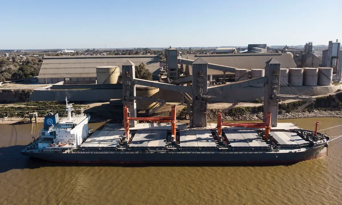 Argentina enfrenta el desafío de exportar más a China ante la creciente competencia