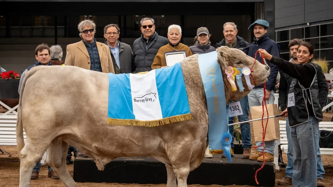 La Trinidad hace doblete en la Exposición Rural de Palermo: el toro Murray Grey suma su tercera corona mundial