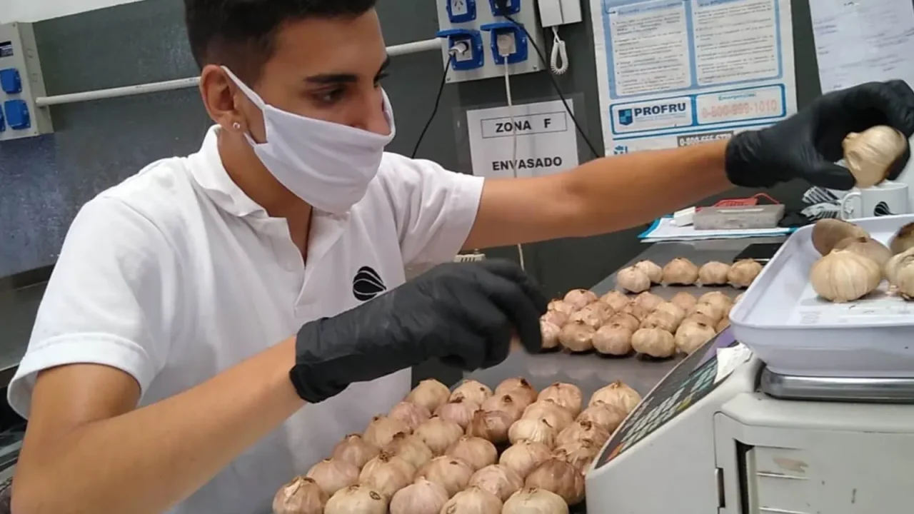 De un hobby a un negocio gourmet: la historia de Oro Rubí y el ajo negro argentino