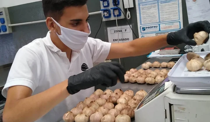 De un hobby a un negocio gourmet: la historia de Oro Rubí y el ajo negro argentino