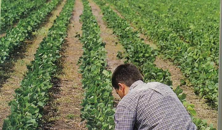 El sector agroindustrial argentino, reconocido por su sofisticación a nivel mundial, se encuentra en una paradoja: mientras adopta tecnologí
