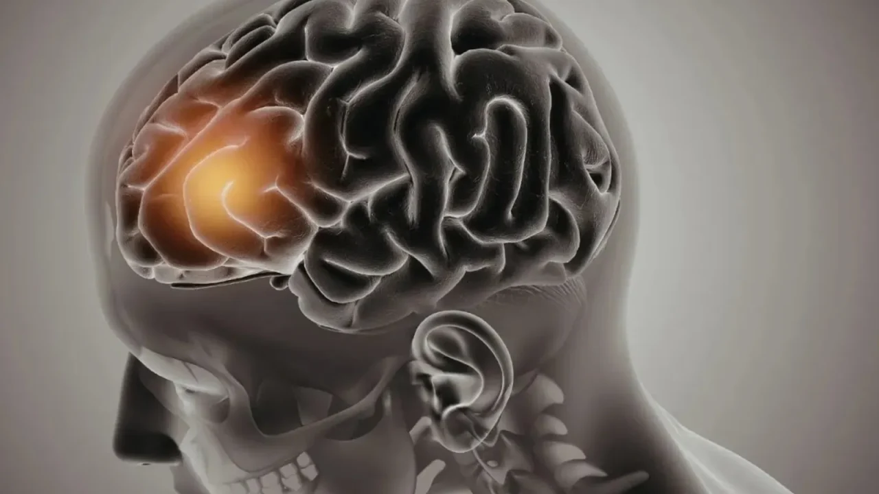 Neurociencia y IA: ¿Podrían los recuerdos de una persona fallecida ser recuperables?