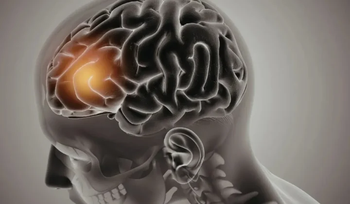 Neurociencia y IA: ¿Podrían los recuerdos de una persona fallecida ser recuperables?
