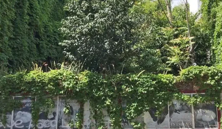 Fracasa por cuarta vez subasta de terreno “exótico” en Almagro; vecinos piden reserva urbana