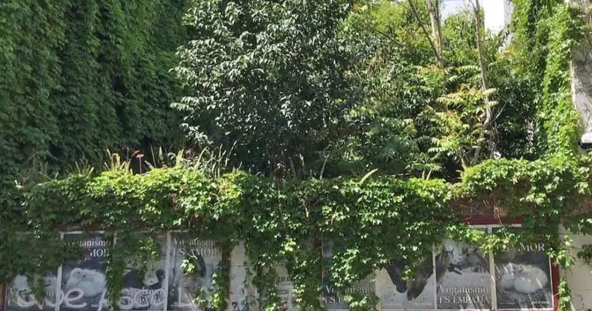 Fracasa por cuarta vez subasta de terreno “exótico” en Almagro; vecinos piden reserva urbana
