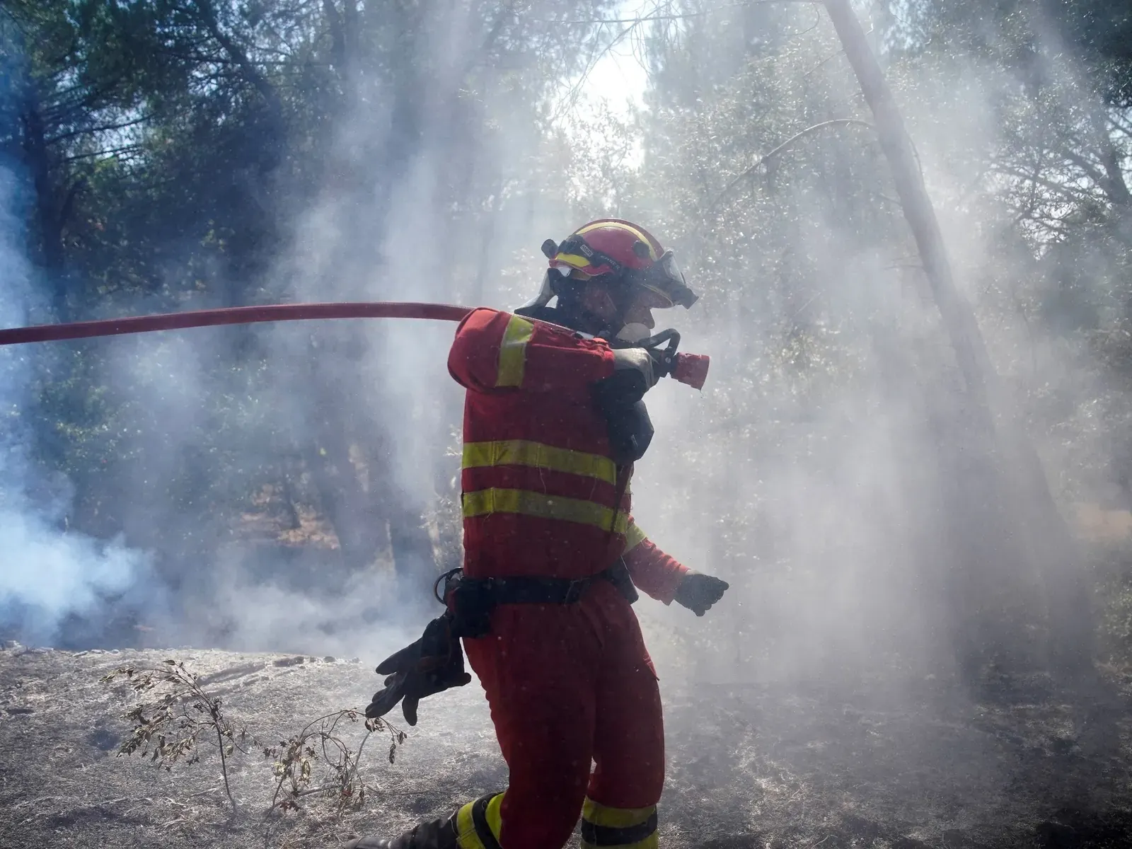 Bomberos trabajan en el incendio forestal en San Martín de Valdeiglesias, Madrid, España, julio 2026.