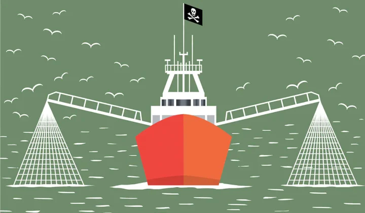 Pesca argentina: un sector clave que genera divisas pero enfrenta desafíos