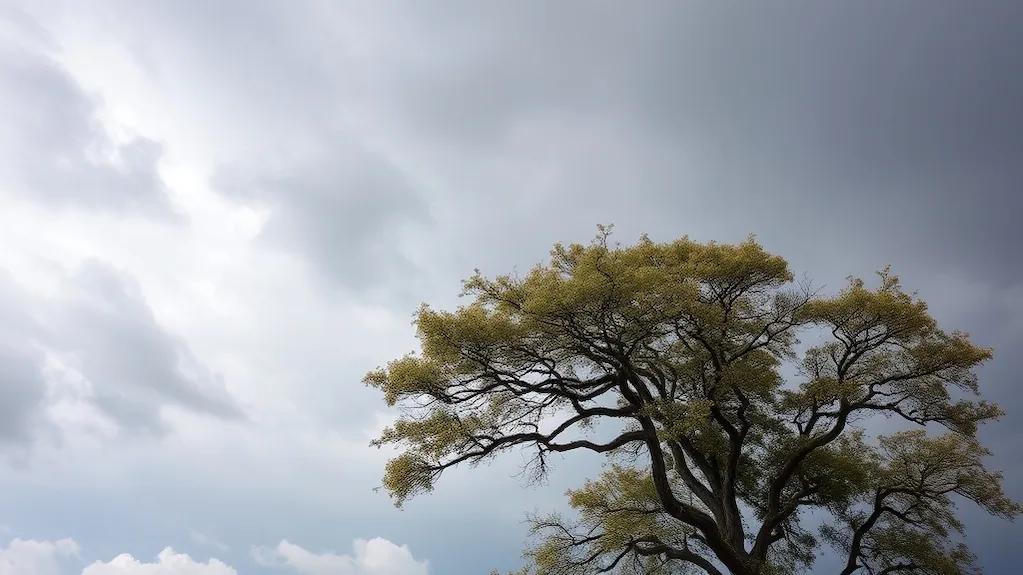 Alerta amarilla por viento en Tucumán: zonas afectadas y recomendaciones del Servicio Meteorológico
