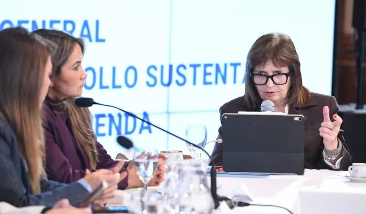 El Senado debate la reforma de la Ley Nacional de Salud Mental impulsada por el Ejecutivo