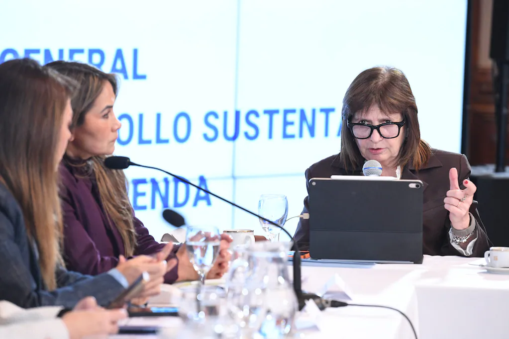 El Senado debate la reforma de la Ley Nacional de Salud Mental impulsada por el Ejecutivo