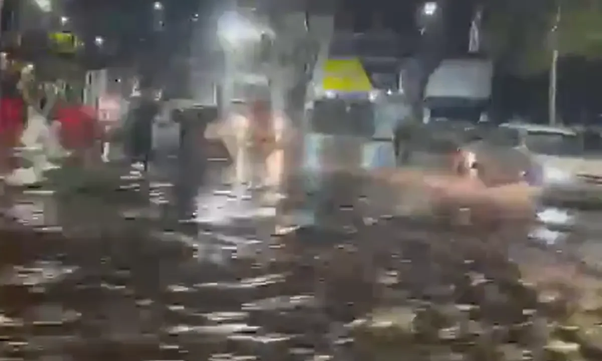 Los videos más impactantes del temporal que azotó el AMBA: inundaciones, granizo, árboles caídos y cortes de luz