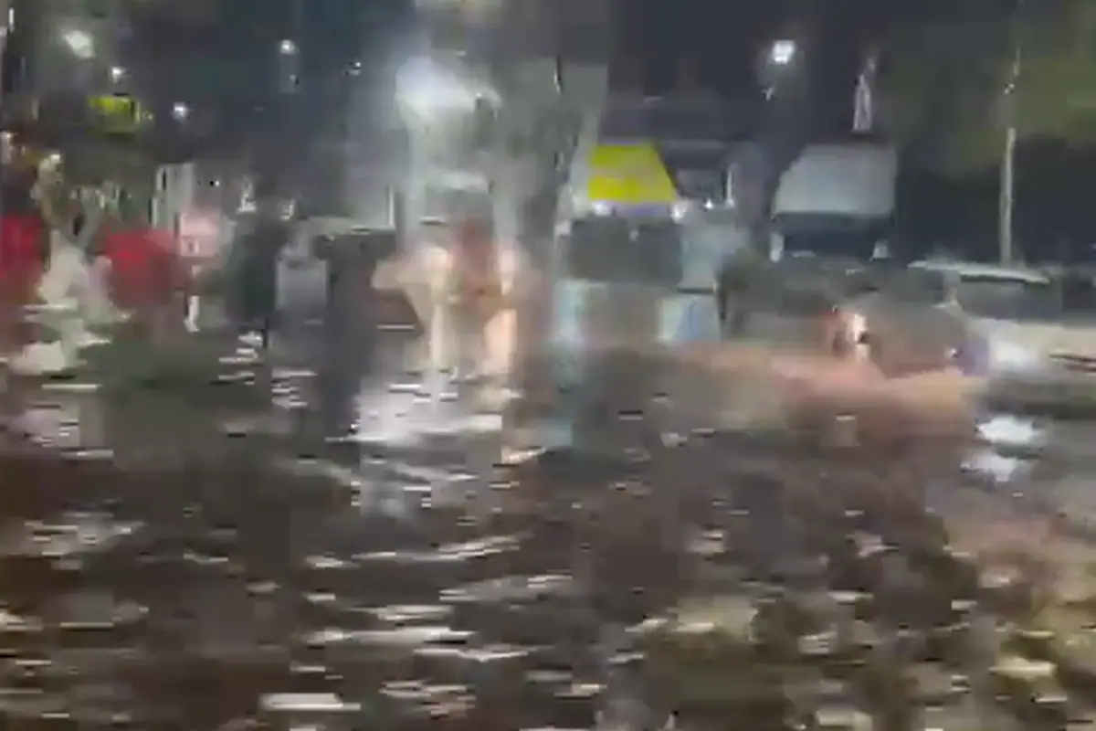 Calles inundadas en el AMBA tras el temporal: granizo, árboles caídos y cortes de luz