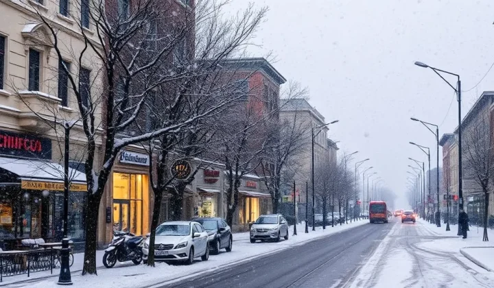 Alerta amarilla por nevadas en Neuquén: zonas afectadas y pronóstico del Servicio Meteorológico Nacional