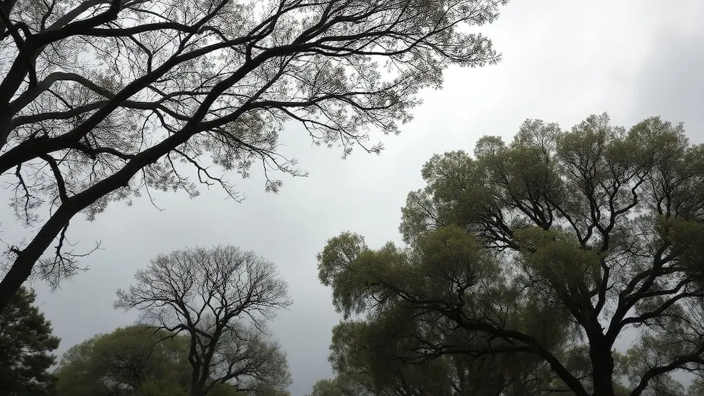 Alerta amarilla por viento en Chubut: ráfagas de hasta 90 km/h y zonas afectadas